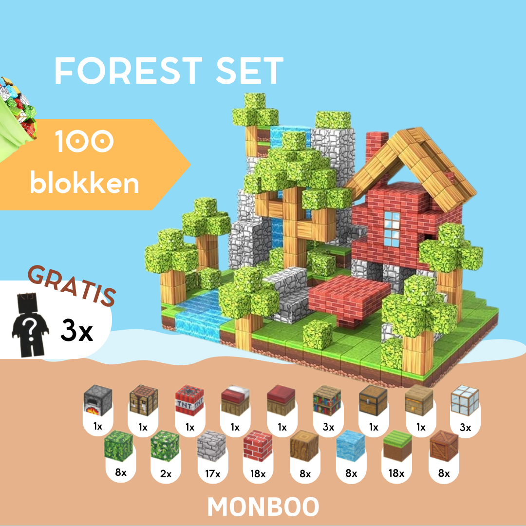 MagnaCraft – Bouw Jouw Eigen Minecraft Wereld in het Echt